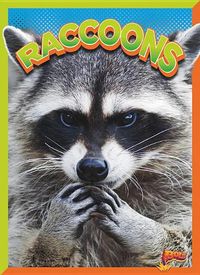 Cover image for Raccoons