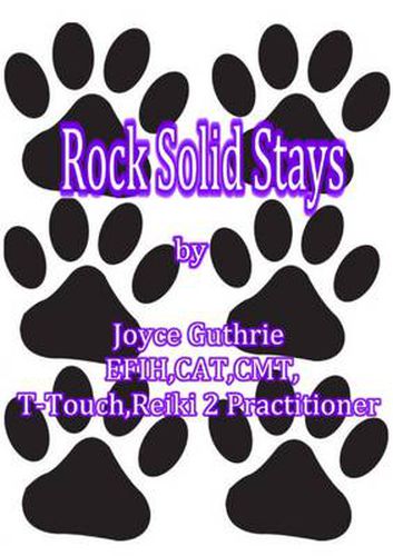 Cover image for Rock Solid Stays