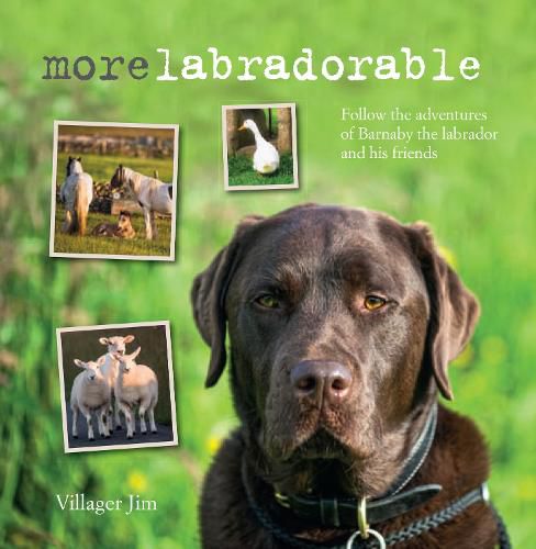 Cover image for Morelabradorable: Follow the Adventures of Barnaby the Labrador and His Friends