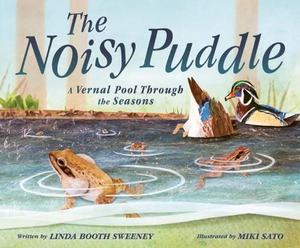 Noisy Puddle: A Vernal Pool through the Seasons