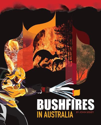 Cover image for Bushfires in Australia