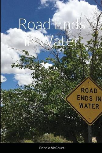 Cover image for Road Ends in Water