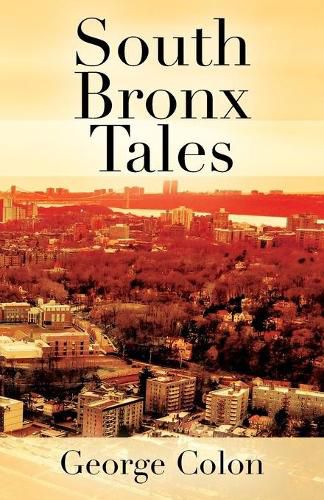 Cover image for South Bronx Tales