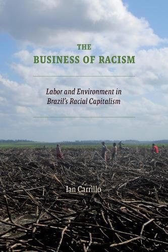 Cover image for The Business of Racism
