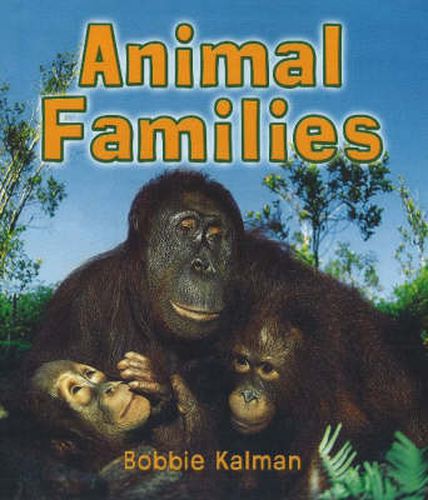 Cover image for Animal Families