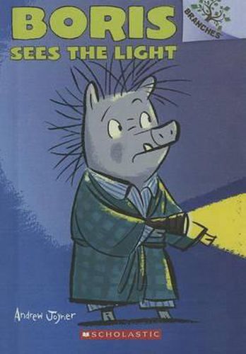 Cover image for Boris Sees the Light