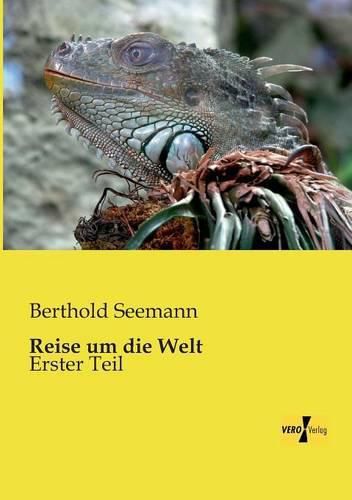 Cover image for Reise um die Welt: Erster Teil