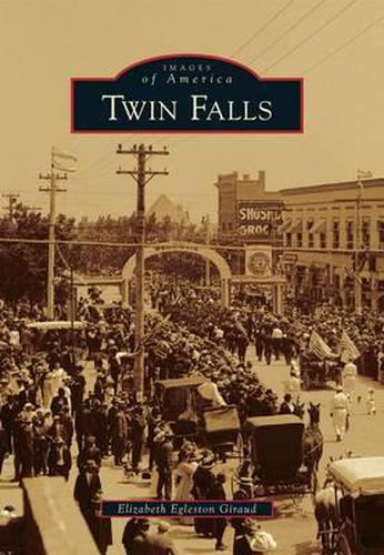 Cover image for Twin Falls