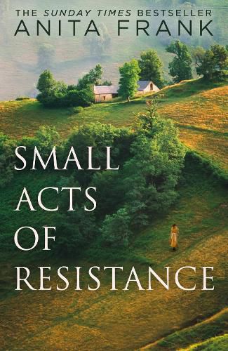 Cover image for Small Acts of Resistance