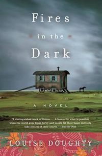 Cover image for Fires in the Dark