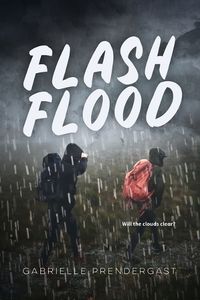 Cover image for Flash Flood