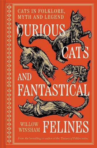 Cover image for Curious Cats and Fantastical Felines