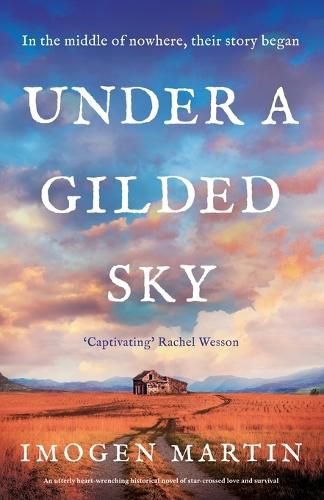 Cover image for Under a Gilded Sky