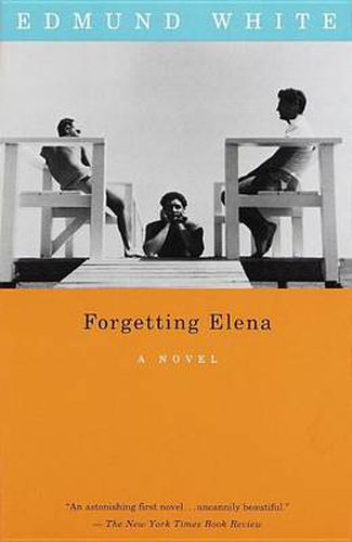 Forgetting Elena: A Novel