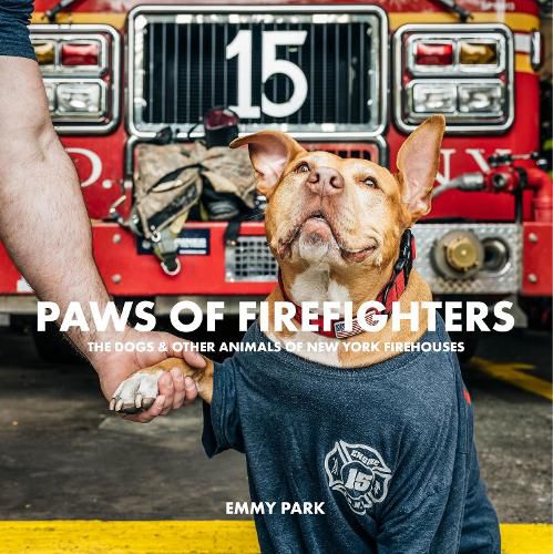 Cover image for Paws of Firefighters