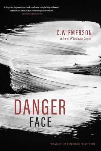 Cover image for Danger Face