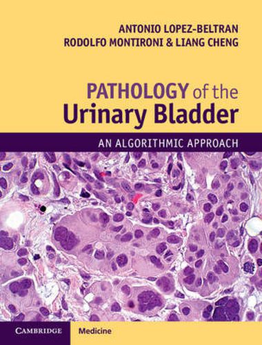 Cover image for Pathology of the Urinary Bladder: An Algorithmic Approach