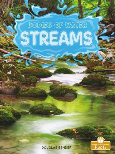 Streams