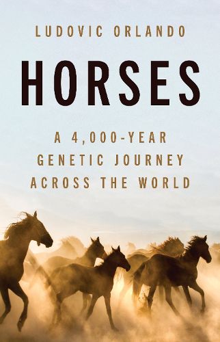 Cover image for Horses