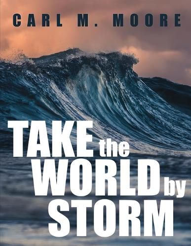 Cover image for Take the World by Storm
