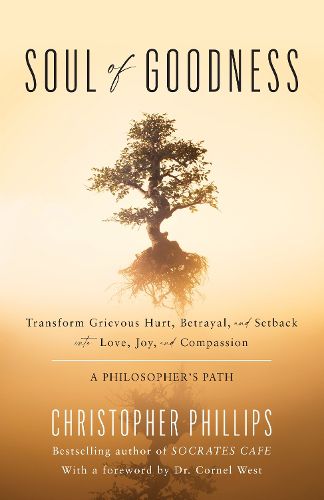 Cover image for Soul of Goodness: Transform Grievous Hurt, Betrayal, and Setback into Love, Joy, and Compassion