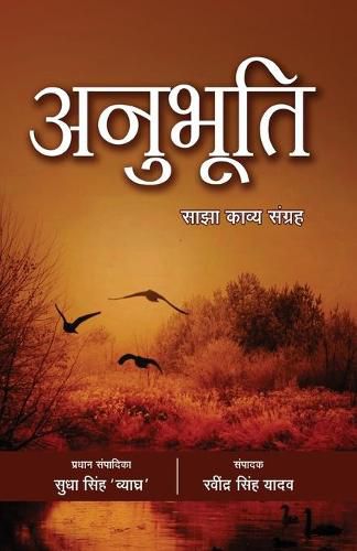 Cover image for Anubhuti