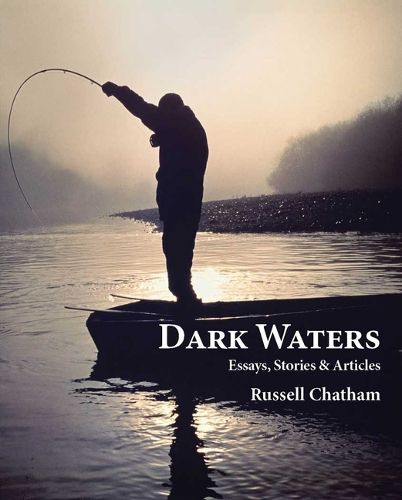 Cover image for Dark Waters