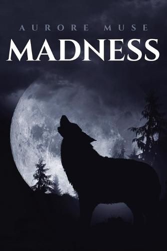 Cover image for Madness