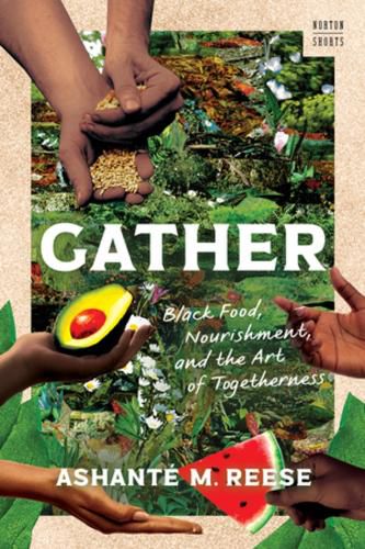 Cover image for Gather
