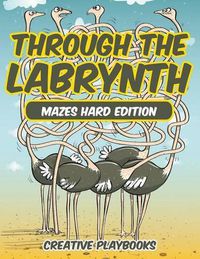 Cover image for Through the Labyrinth Mazes Hard Edition