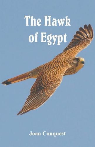 Cover image for The Hawk of Egypt