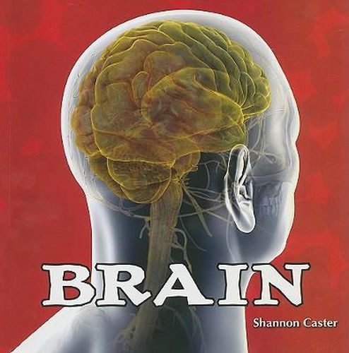 Cover image for Brain