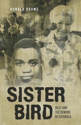 Cover image for Sister Bird