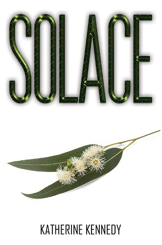 Cover image for Solace