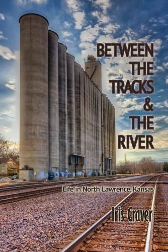 Cover image for Between The Tracks And The River