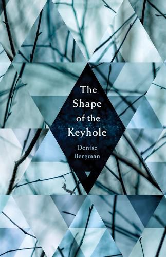 Cover image for The Shape of the Keyhole