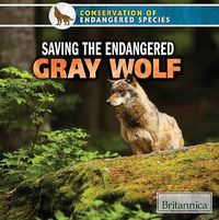 Cover image for Saving the Endangered Gray Wolf