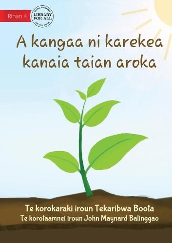 Cover image for How Plants Make Food - A kangaa ni karekea kanaia taian aroka (Te Kiribati)