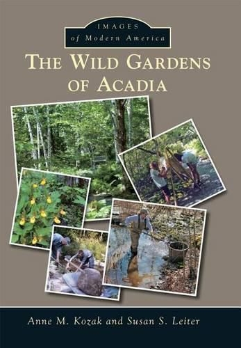 Cover image for The Wild Gardens of Acadia