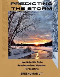 Cover image for Predicting the Storm