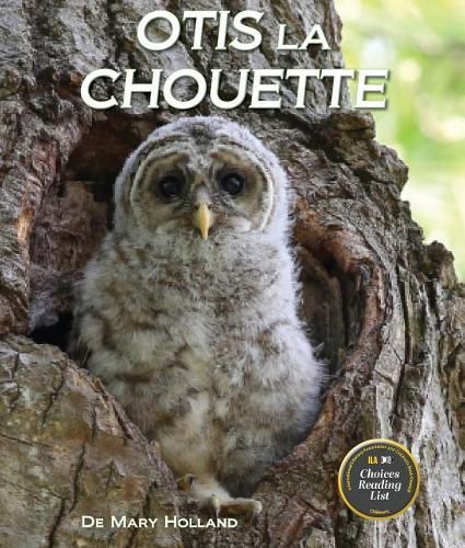 Cover image for Otis La Chouette: (otis the Owl in French)