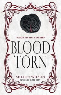 Cover image for Blood Torn