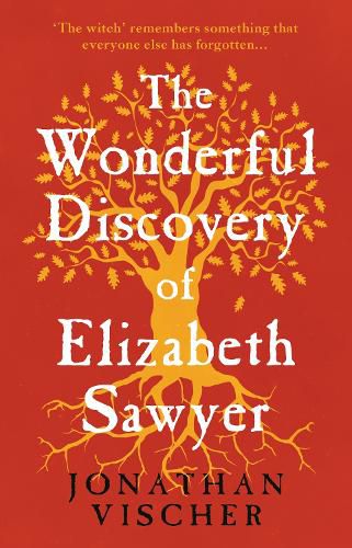 Cover image for The Wonderful Discovery of Elizabeth Sawyer