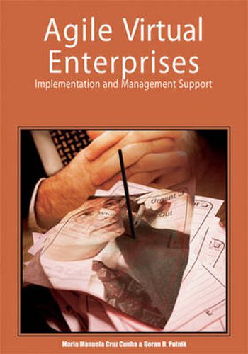 Cover image for Agile Virtual Enterprises: Implementation and Management Support