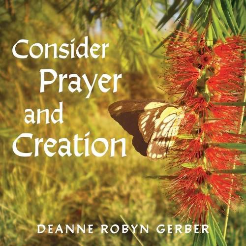 Cover image for Consider Prayer and Creation