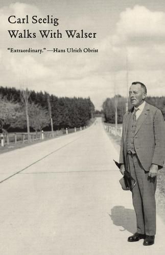 Cover image for Walks with Walser