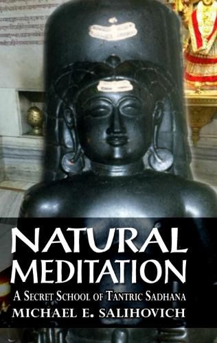 Cover image for Natural Meditation