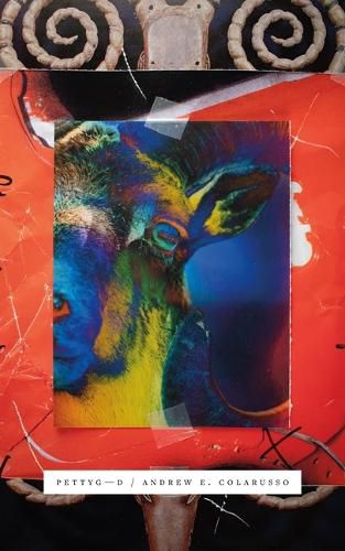 Cover image for Pettygod