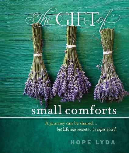 Cover image for The Gift of Small Comforts