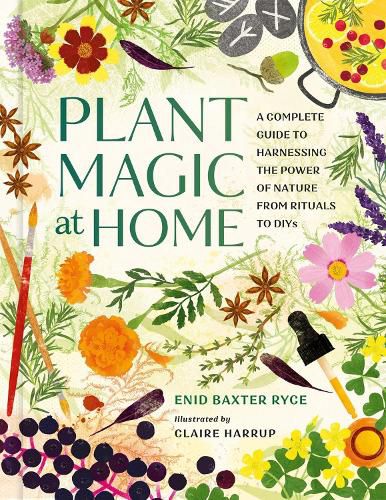 Cover image for Plant Magic at Home